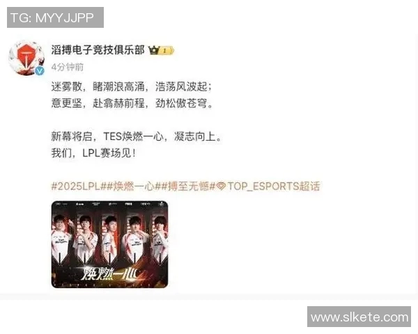 深入分析S15赛季TES战队的实力表现与数据解读